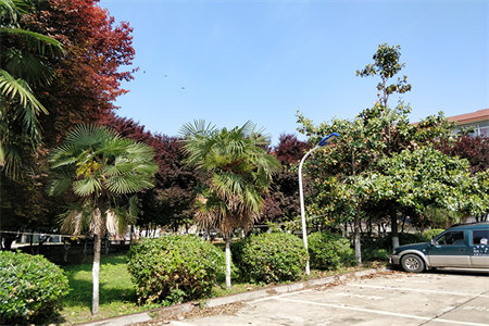 农村信用社家属院3室2厅1卫130m2